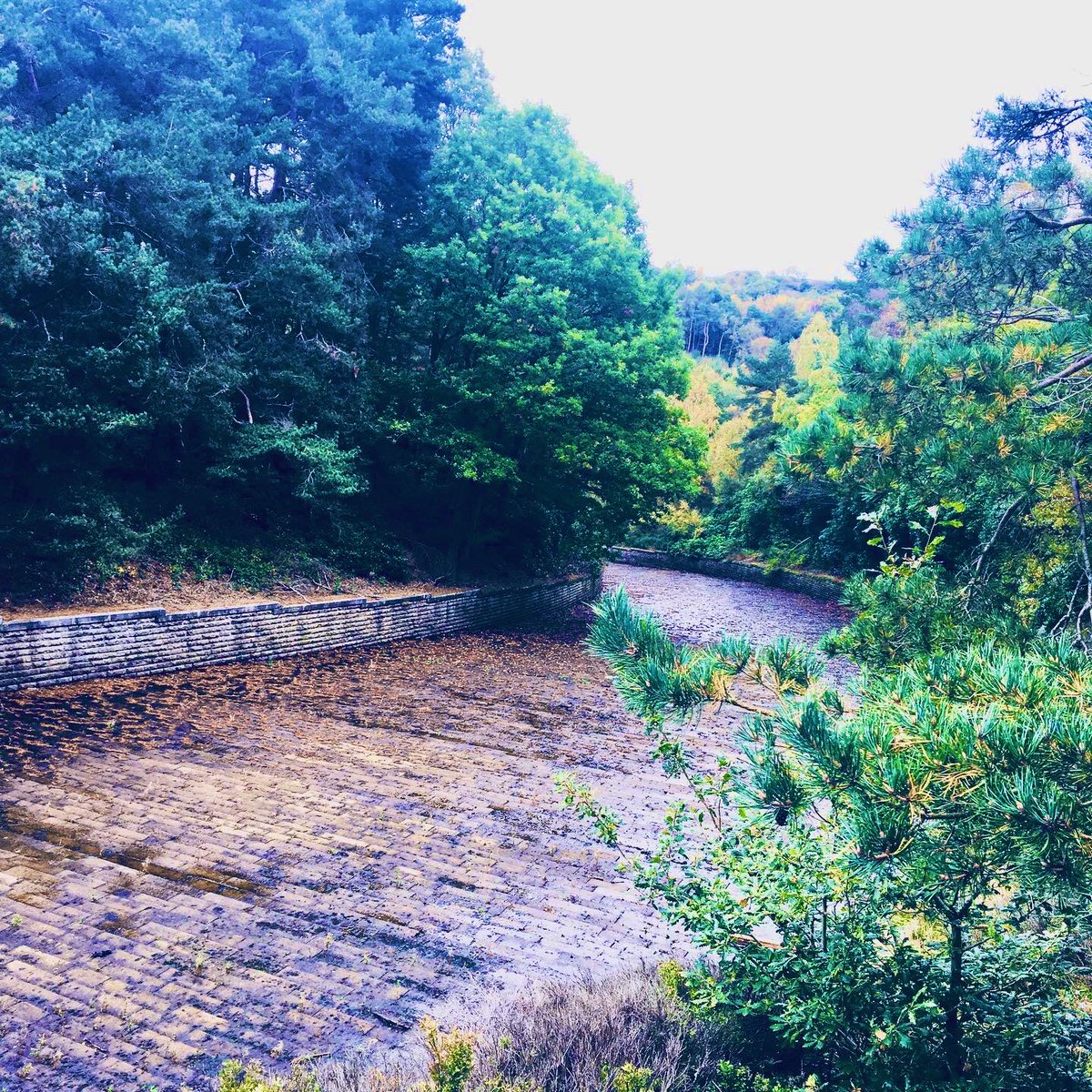 Jude Eller (@judeeller) on Twitter photo 