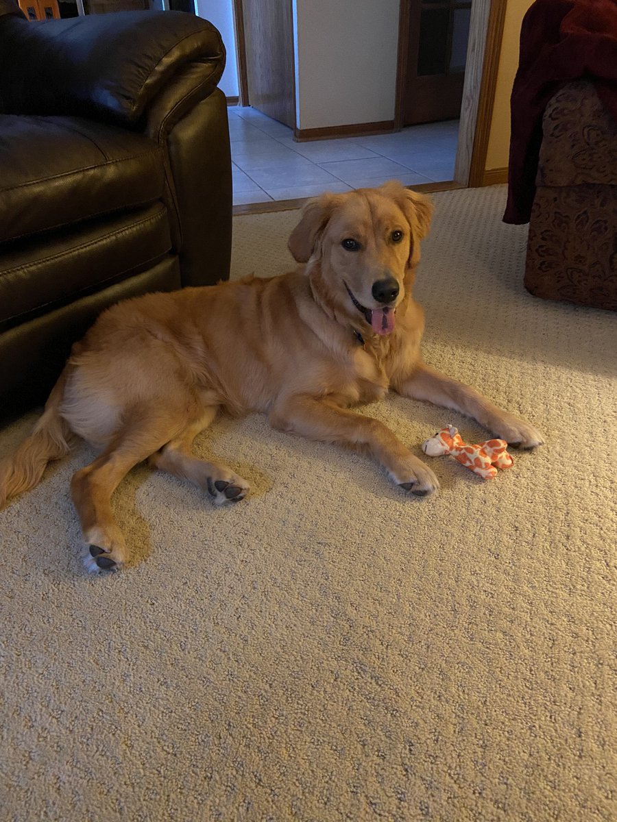 how it started vs how it’s going 😭