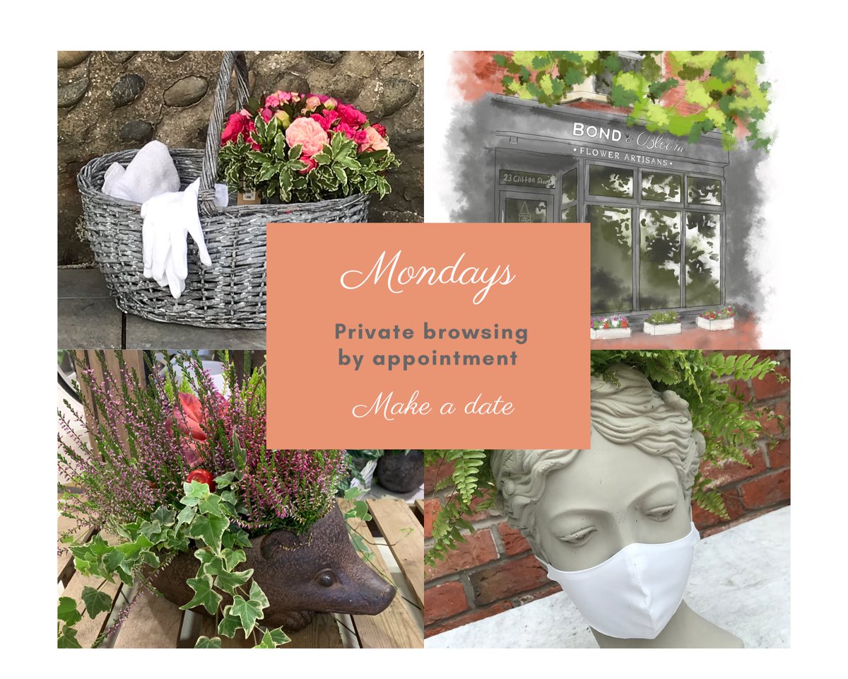 Mondays are reserved for private browsing by appointment. Bide a while with Bond &amp; Bloom to yourself.

Book a safe and tranquil time slot for your bubble by calling us on 01253 730974.

#lytham
#lythamstannes
#HandsFaceSpace