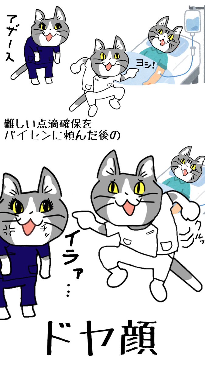 #現場猫 #看護師 