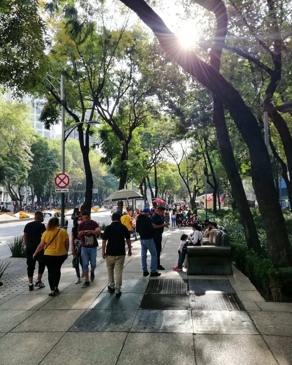 Sunday afternoon on Reforma avenue #FelizDomingoATodos https://t.co/zwjd0i7LGT