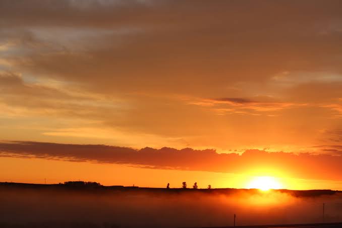 Kerjakan apa yang kau cintai dan uang akan mengikuti.