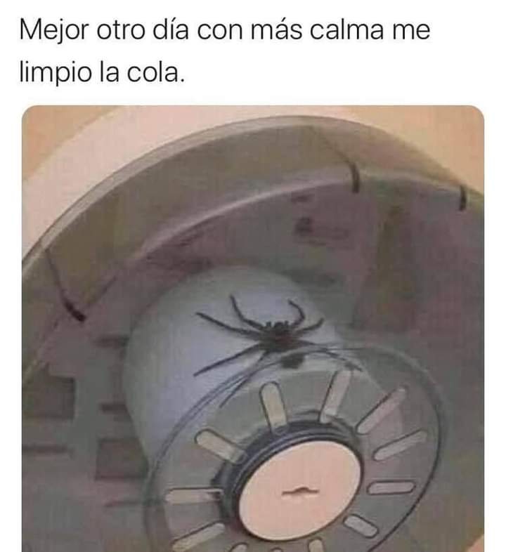#FelizFinDeSemana
#FelizDomingoATodos
#PorSiTeLoPerdiste #viral #Memes #memetwit #memes2020 #humor #HumorMexicano #LoMasVisto https://t.co/HOhNmLsZuR