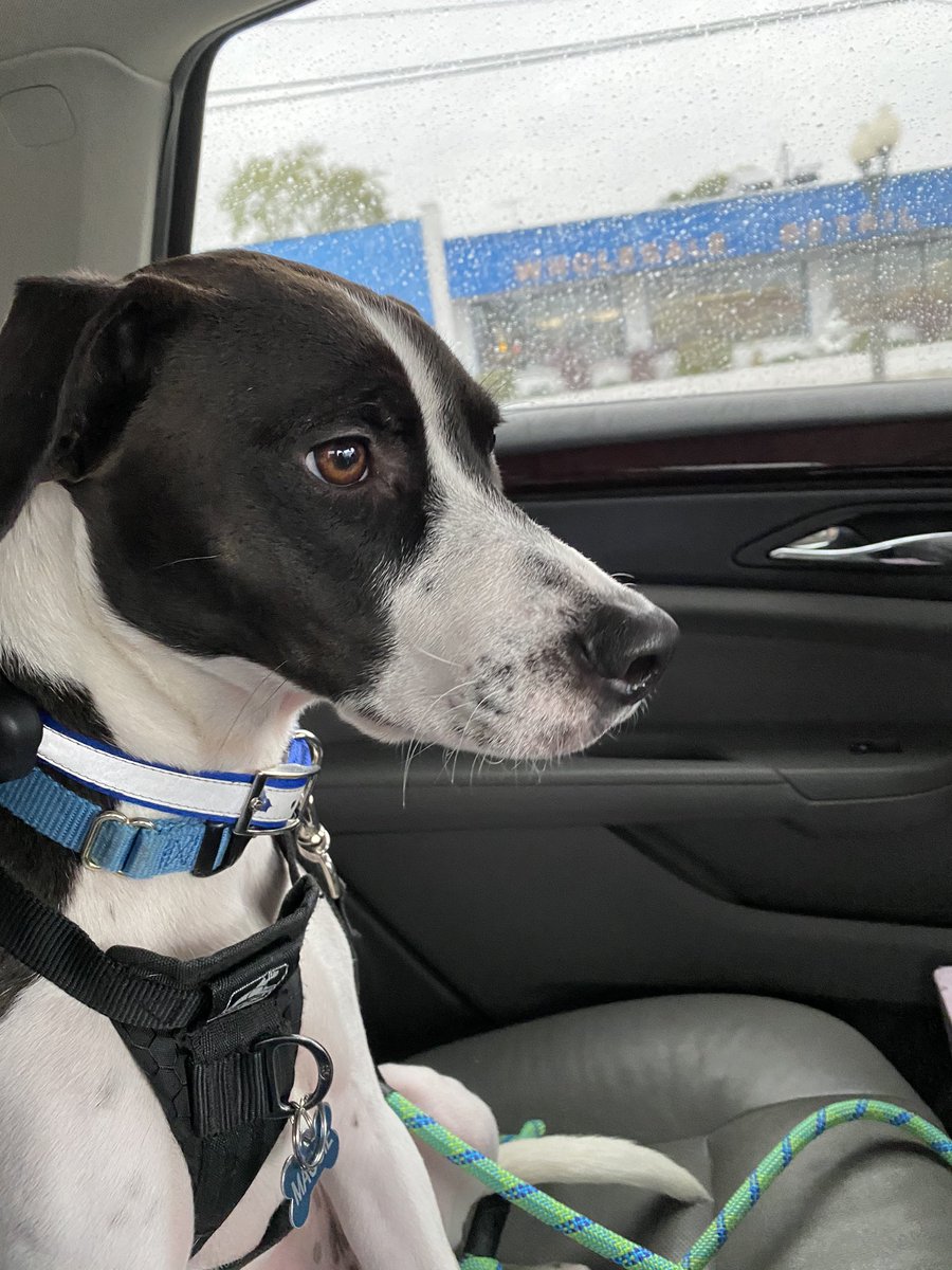 Going for a walk in the rain.