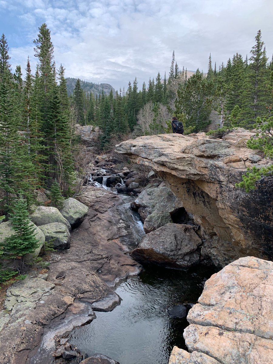 sjmeanmachine's tweet photo. 20,000 steps before noon and crushing mornings despite dad dropping Simba. #estesparkvibes #rockymountainnationalpark https://t.co/Oi5uAOVE5m