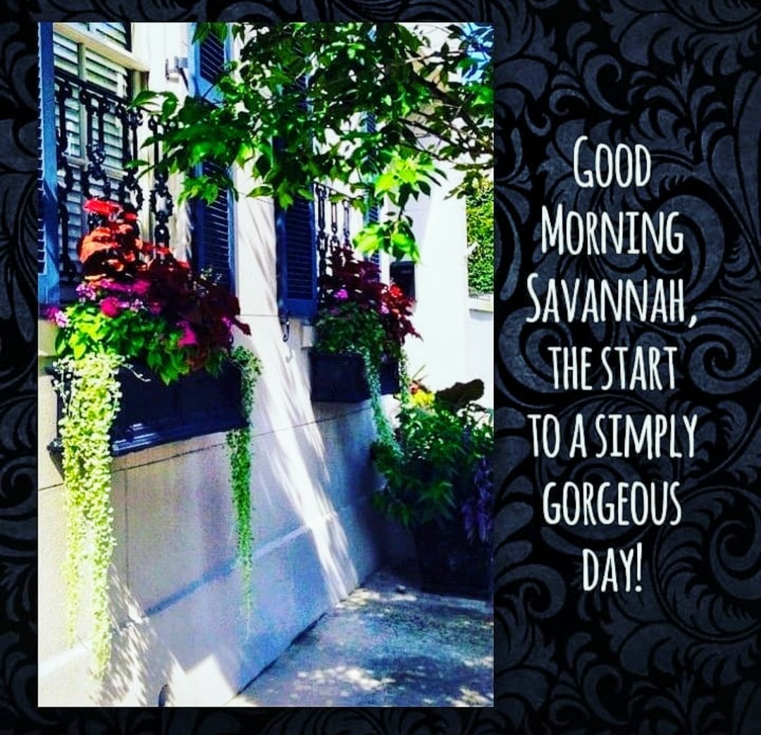 ToursinMotion's tweet photo. #savannah #tours #tourism #fun #adventure #friends #escape #explore #weekendgetaway #vacation #travelers #trip #travelsavannah #visitsavannah #tourpass #bikerentals #familyfun #bucketlist #beautifuldestination #justbookit #savannahstrong #iwilltravelagain #whattodoinsav https://t.co/yWU6OM3vOl