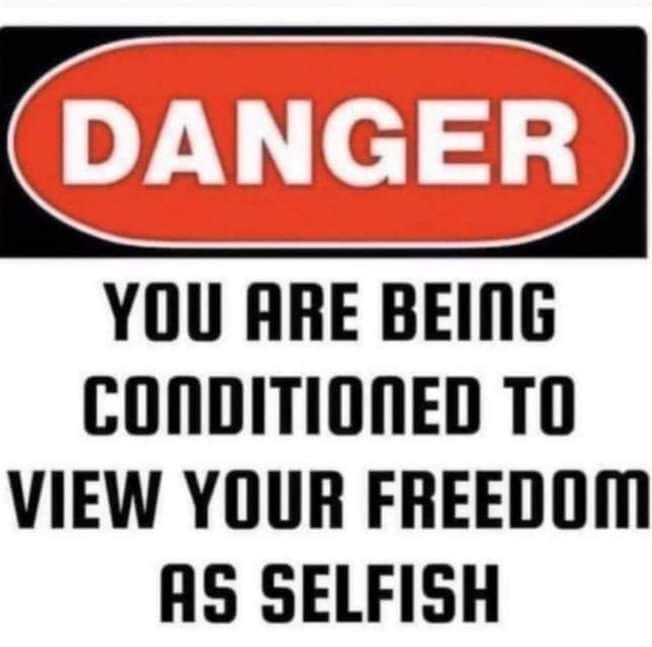 The Secret Sun Speaks (@secretsunblog) on Twitter photo 