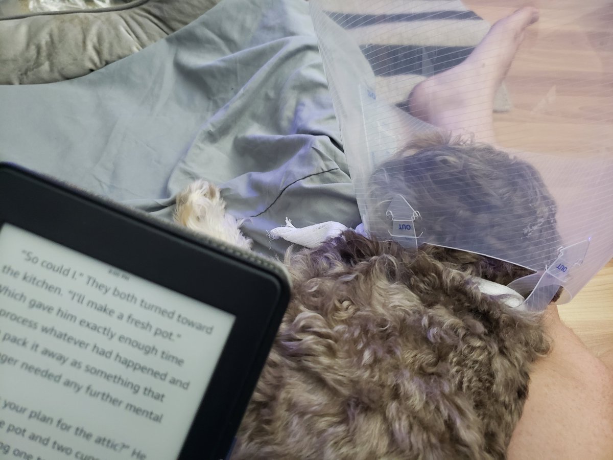 SuperpowersSara's tweet photo. It's #AudioDramaSunday and I'm falling woefully behind. Beast and I put out an episode of Pup Life Ruff Life this week explaining and stating that episodes will be slow going, but as quick update surgery went well and he's feeling ok. Can't wait to be ready to enjoy shows again. https://t.co/pAfJwOrYil