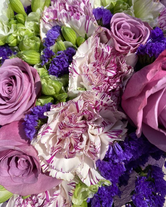 Flower porn for the TL🙏🏻🌺🌸💐🌷🌹 https://t.co/OcgJ7EMXVI
