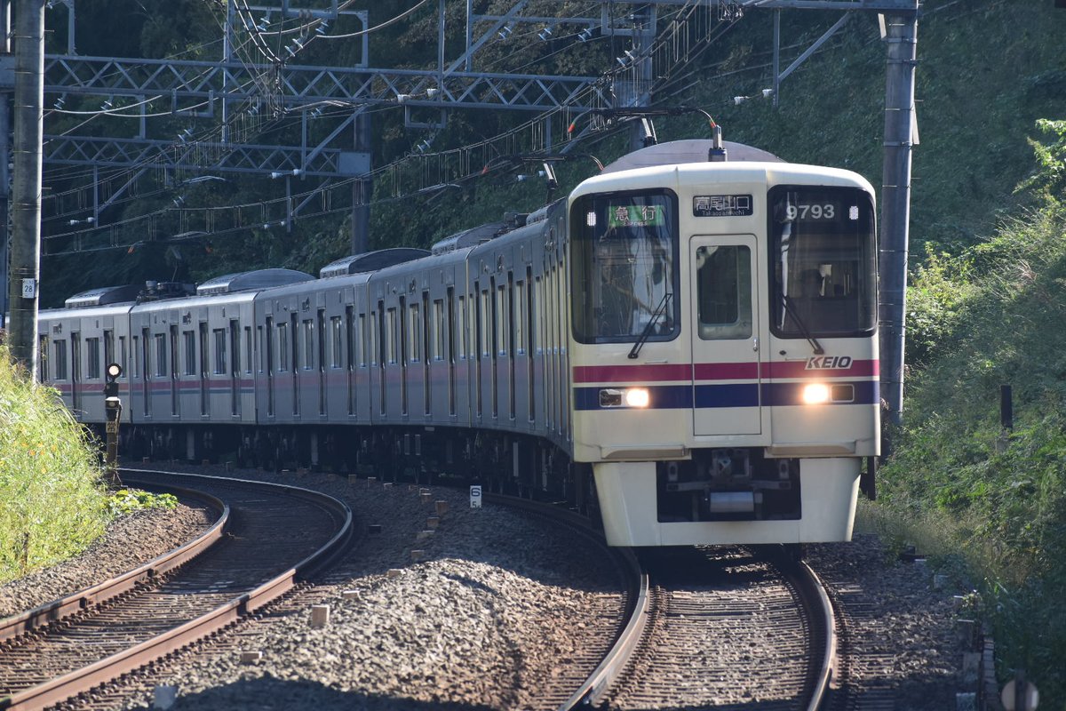 tokng_more's tweet photo. 10/18
71K9743F@狭間・めじろ台 https://t.co/arQJuq3Iqd