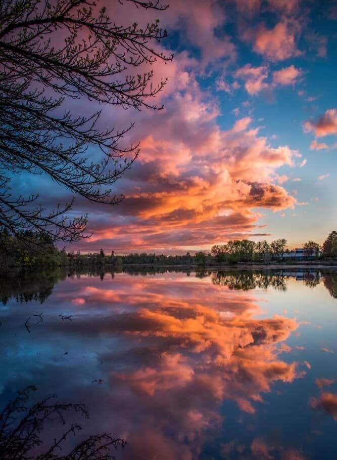 Beautiful Nature Landscapes on X: How beautiful is that reflection  #NaturePhotography #nature #naturelovers #natureperfection #sunset #lake   / X