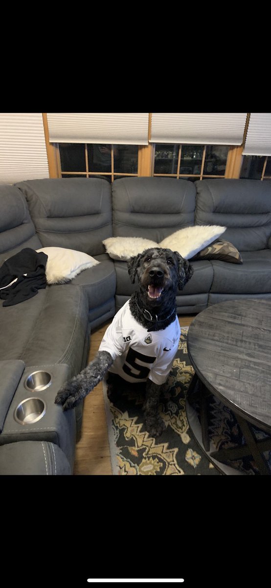 TheGK3's tweet photo. #BoilerPup https://t.co/83sbZWnApN