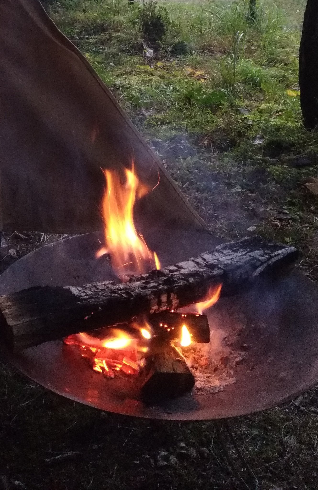 تويتر けけだ キャンプ على تويتر 冬の焚き火はファイヤーディスクがいいですね 調理はディスクが高熱になるので 乗せとくだけでokだし ほぼ燃え尽きて 後片付けも簡単でした キャンプ コールマン ファイヤーディスク 焚き火 T Co 2m7k36yksg