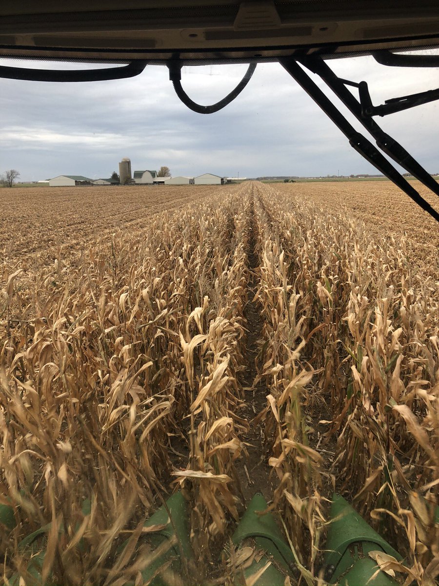brandontoews89's tweet photo. Last 8 rows on this job. Always look forward to working with Oxendale Family Farms! #corn20 https://t.co/obeqbG6jY3