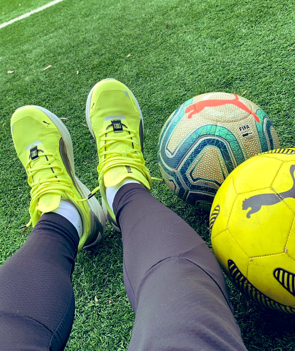 Daniel Cappellaro tweet media