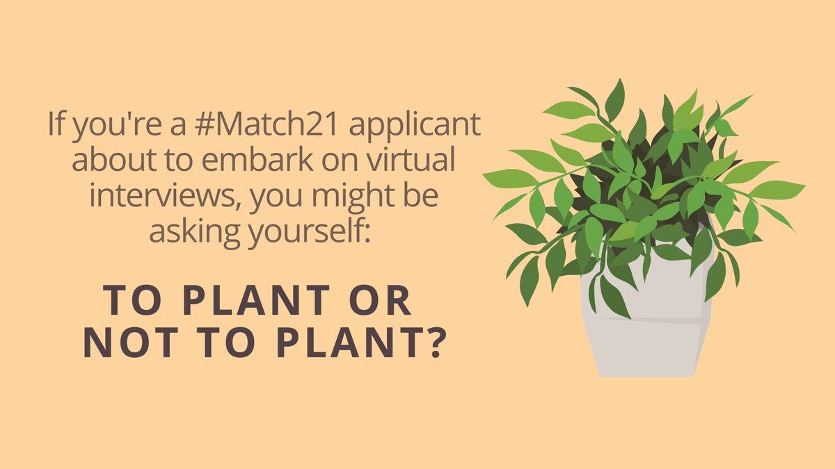 Are you planning on utilizing a live plant in the background of your upcoming virtual interview?