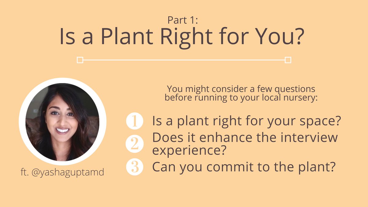 Are you planning on utilizing a live plant in the background of your upcoming virtual interview?