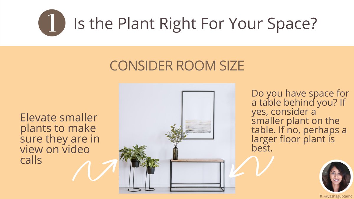 Are you planning on utilizing a live plant in the background of your upcoming virtual interview?