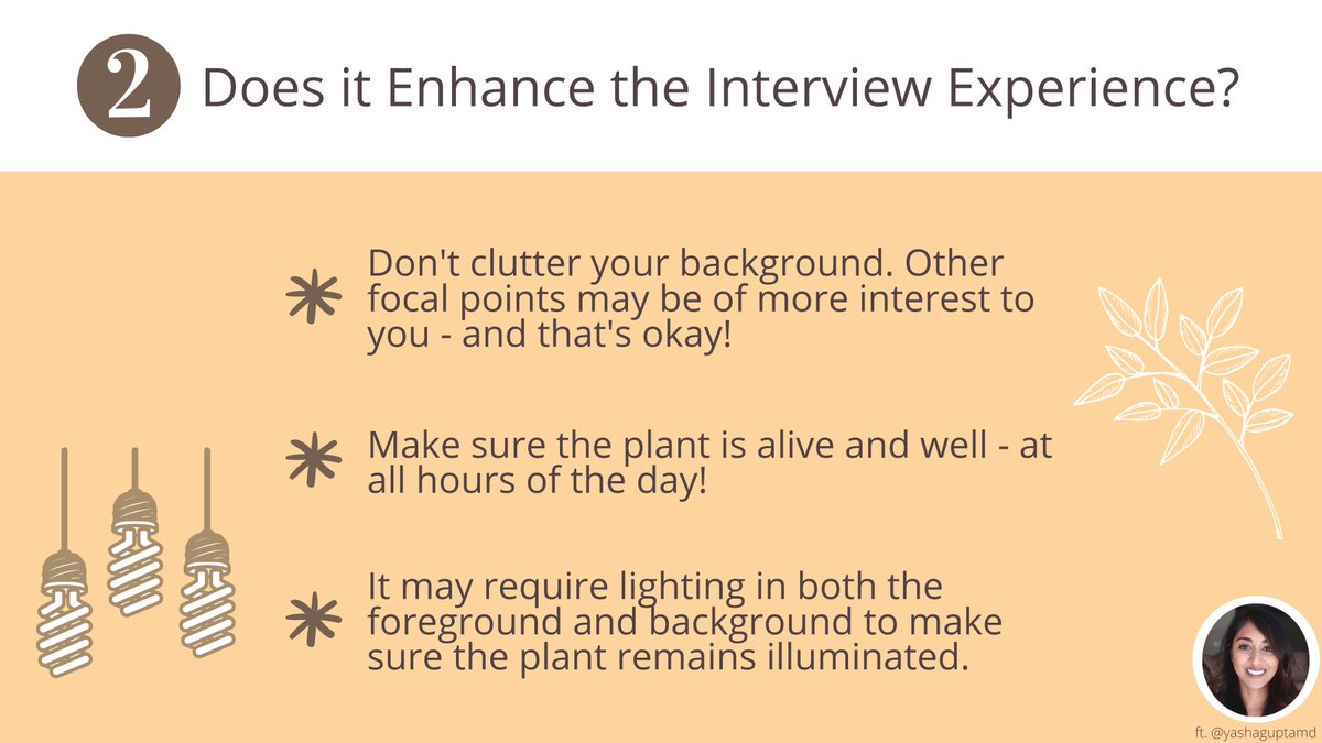 Are you planning on utilizing a live plant in the background of your upcoming virtual interview?