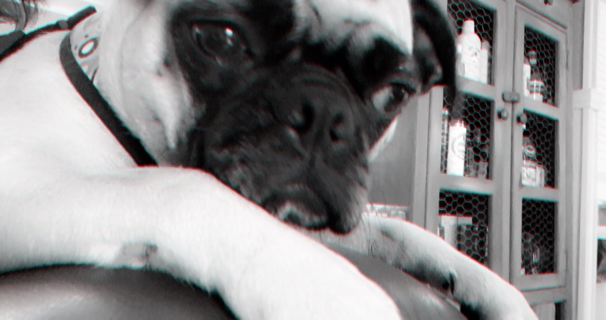 When the grandson gets too close- she steps in to let him know she’s the baby.