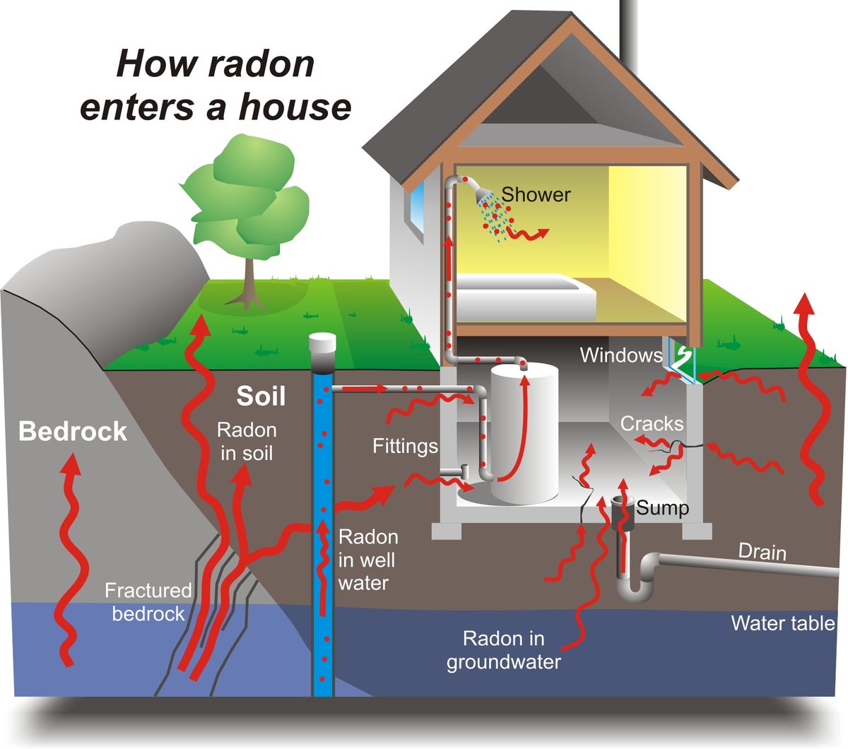 Have you ever wondered about the dangers of #Radon?

Check out the post below from Radonova for great info!

radonova.com/how-dangerous-…

Visit our store radonproz.ca/store or call us to purchase a test kit for $50.

#LungCancer
#LungCancerAwareness
#Winnipeg
#Manitoba