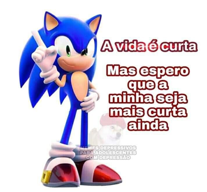 Memes do Sonic contra a humanidade (@MemesdoSonic1) / X