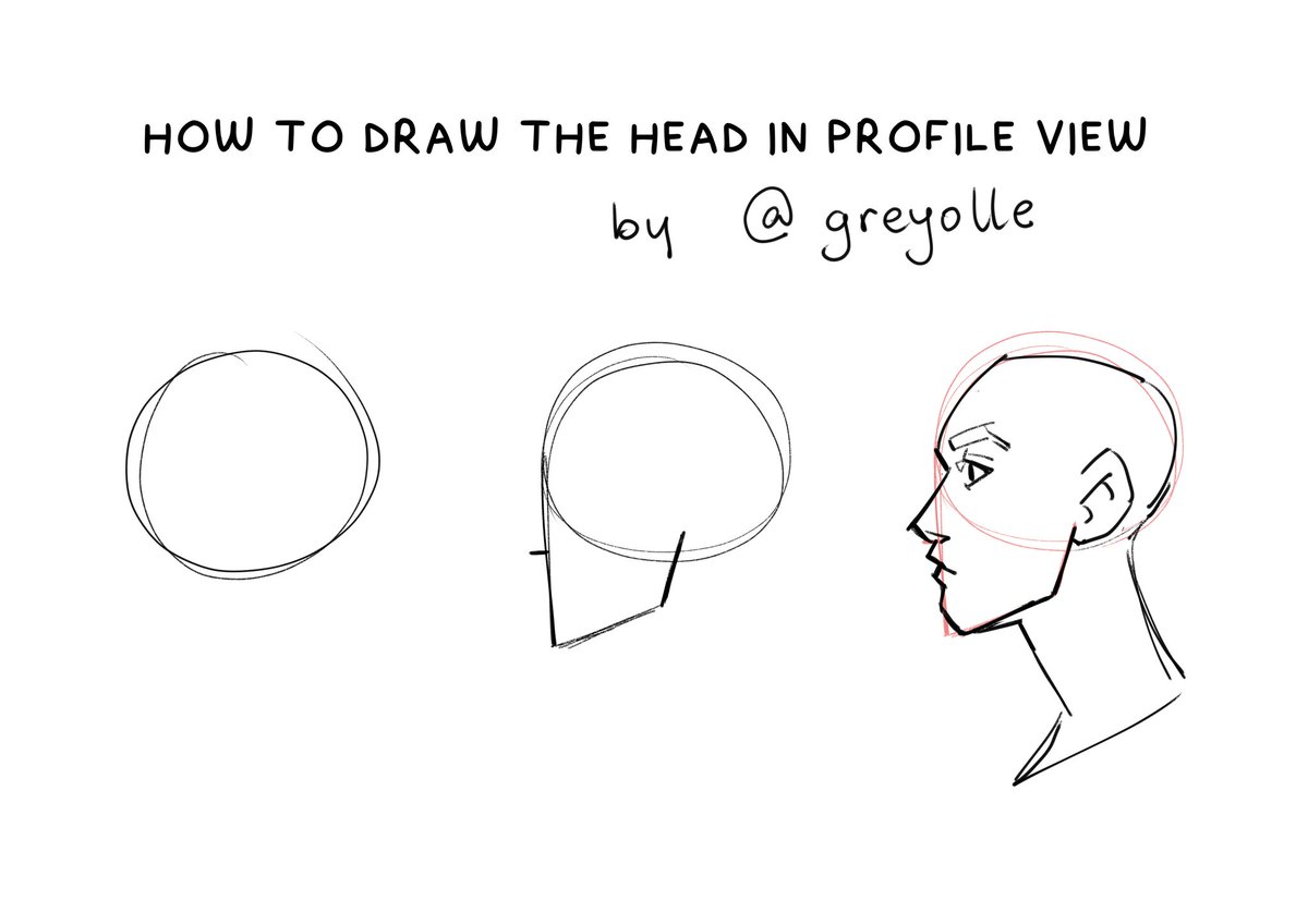 How to draw the head in Profile view (1/2)
✨Tip: https://t.co/b5daJ6yAHi 
