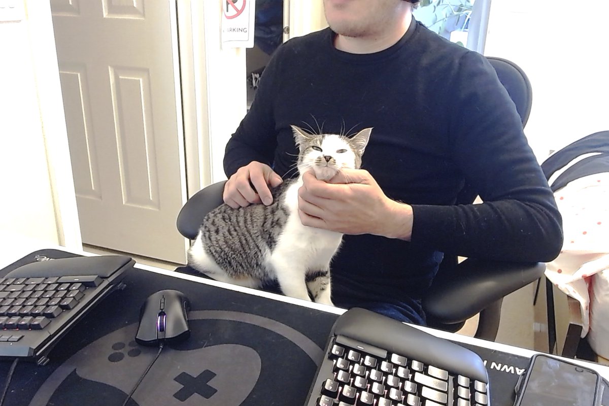 ryanbigg's tweet image. Just paying my sub-contractor for some #PurrProgramming services she's been providing. A+++ would recommend to others.