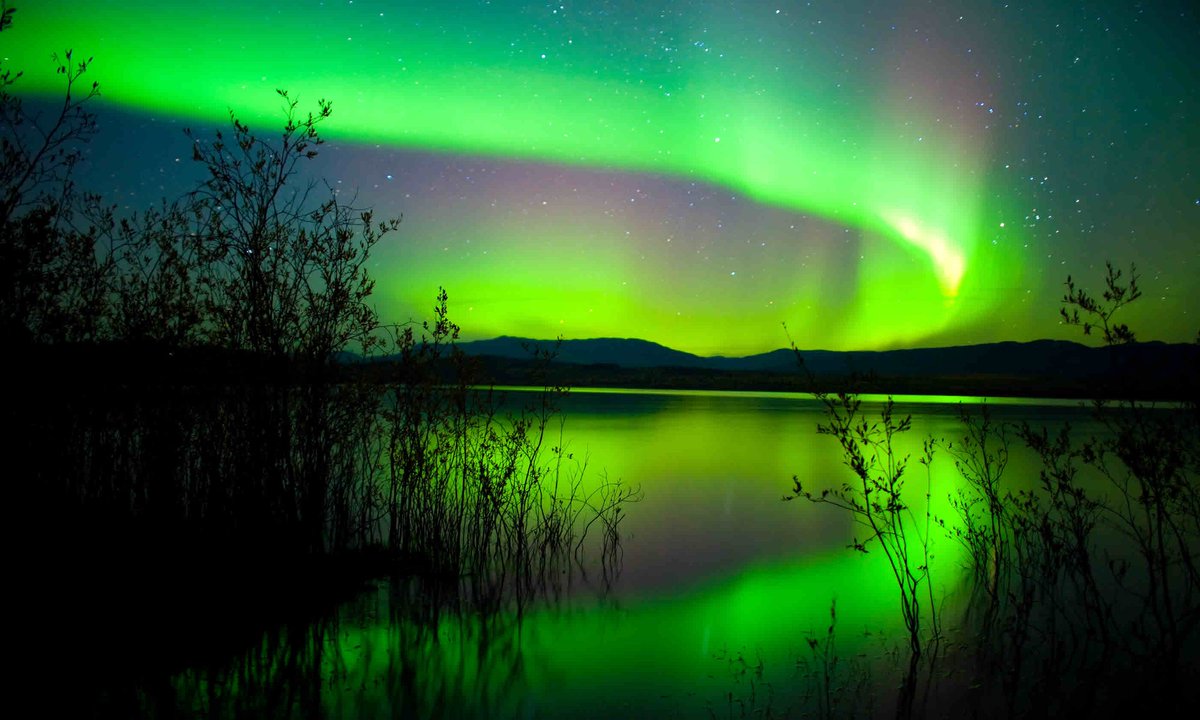 Wanderlust magazine (@wanderlustmag) on Twitter photo How to capture incredible photos of the Northern Lights 📸 > bit.ly/35agRI6
Find out how to snap fantastic photos of the aurora borealis with <a href="/William_D_Gray/">William Gray</a> 's insightful guide. Just don't forget to take a step back from the lens to admire the natural phenomenon... How to capture incredible photos of the Northern Lights 📸 > bit.ly/35agRI6
Find out how to snap fantastic photos of the aurora borealis with <a href="/William_D_Gray/">William Gray</a> 's insightful guide. Just don't forget to take a step back from the lens to admire the natural phenomenon...
