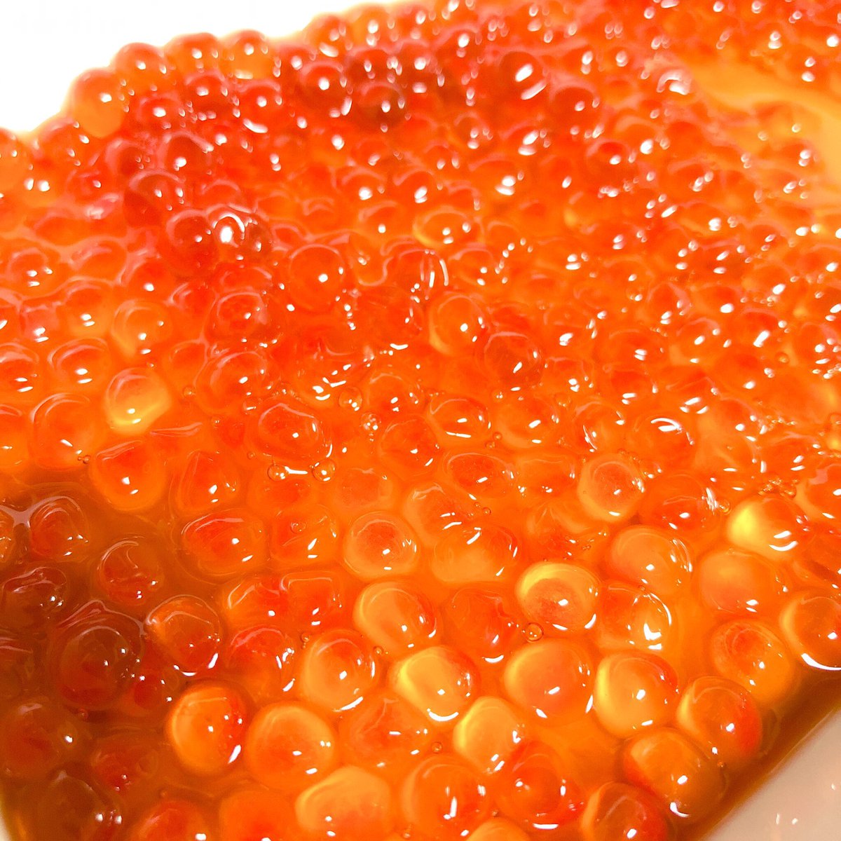 筋子買ってきて泡立て器でぞりぞり筋から剥がして醤油漬けにして食ったことある Kotoのイラスト 筋子買ってきて泡立て器でぞりぞり筋から剥がして醤油漬けにして食ったことある Kotoのイラスト