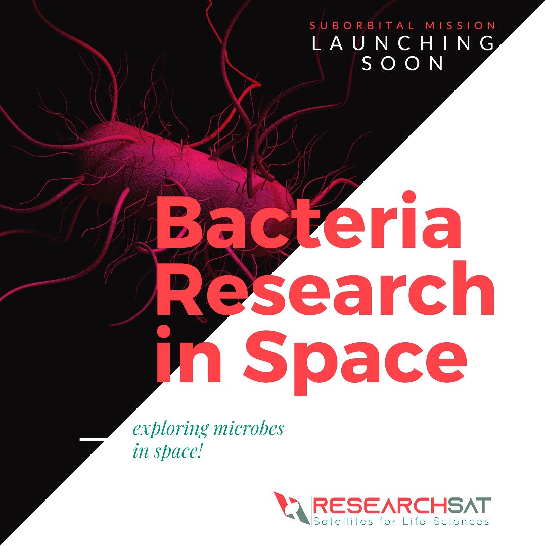 Bacteria research in space to observe microgravity effects #SpaceBiology #microgravity #microgravityBioResearch