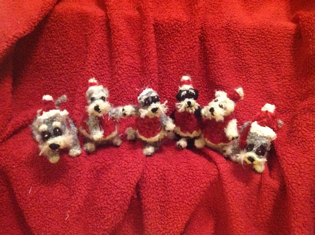 borderbears's tweet image. #dverschnauzer laget som din egen hund 100kr
kjøp 3 so får du gratis frakt :)