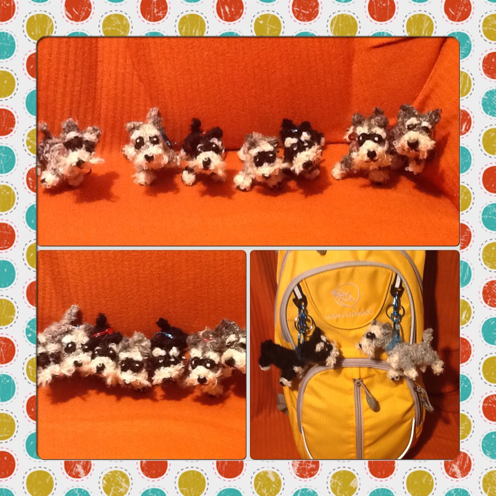 borderbears's tweet image. #dvergschnauzer laget som din egen hund 100kr
kjøp 3 so får du gratis frakt :)