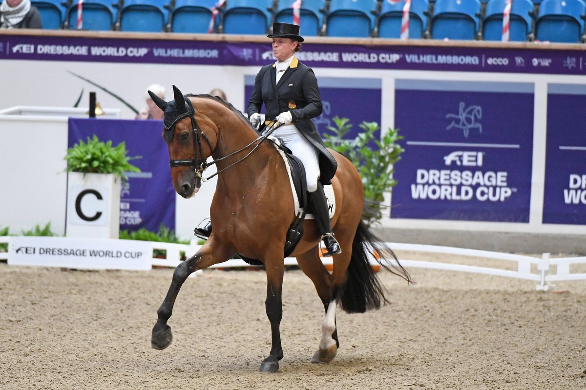 Toller Start in den #Dressur-#Weltcup🎉 Beim Auftakt in Arhus🇩🇰 haben Isabell Werth mit Emilio und Jessica von Bredow-Werndl mit Zaire-E die Plätze 2 und 3 belegt! Glückwunsch an Cathrine Dufour mit Bohemian🥇👏
©️FEI/Ridehesten.com/Annette Boe Østergaard
#Pferdesport @FEI_Global https://t.co/2osn20SfDw
