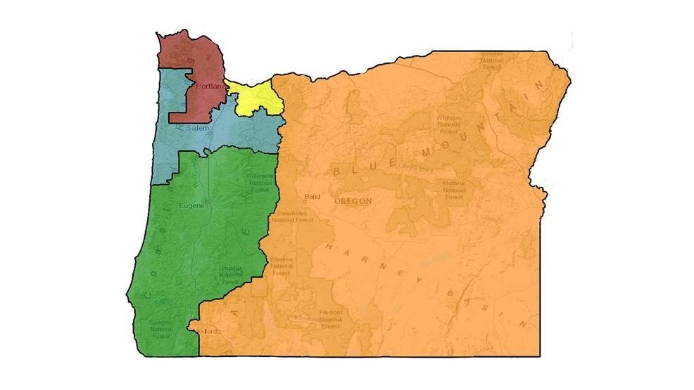 Our congressional district is the only competitive one in the state. We're the district in green on the bottom left. (By the way,  #Portland is split between the yellow and dark red districts at the top left. This will be important later.)