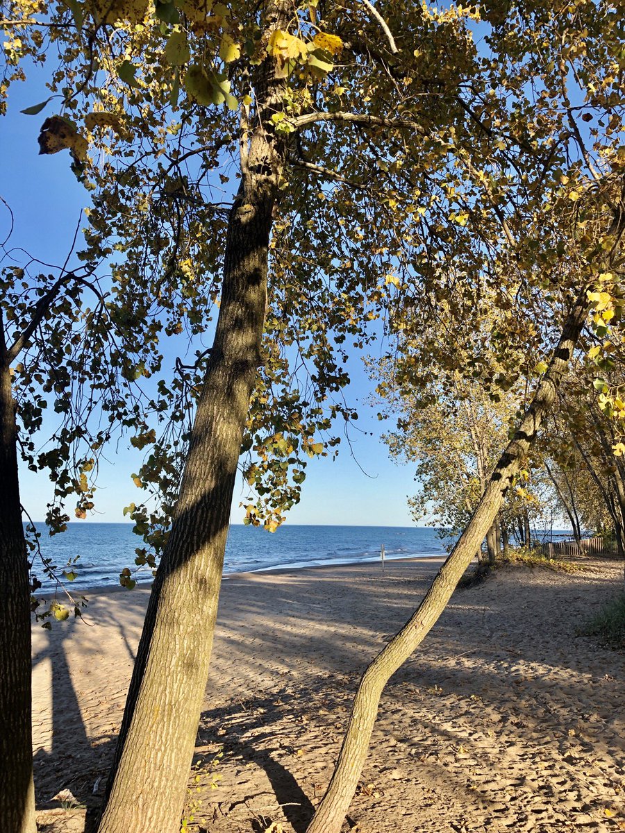 jenkquinn's tweet photo. Fall is not my favorite because of what comes after it, but I have to admit it’s been especially beautiful this year. #fallinthemidwest #fallcolors https://t.co/Q4m2onTcnh
