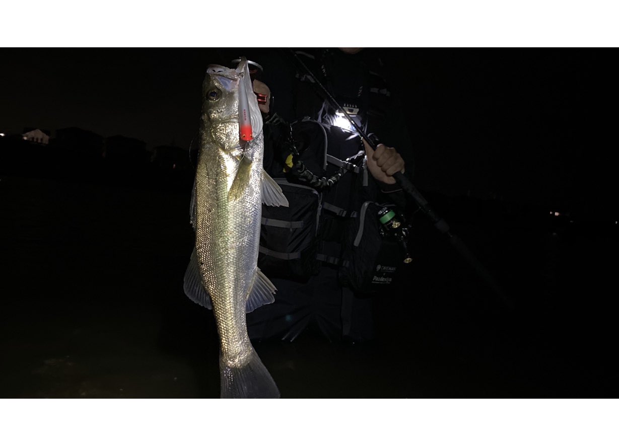 ハザー 最近は夜な夜なシーバス釣りに やればやるほどいろんな道具を揃えたくなってきてしまいます 鱸 リップルポッパー T Co Jiowvehw Twitter ハザー 最近は夜な夜なシーバス釣りに やればやるほどいろんな道具を揃えたくなってきてしまいます 鱸 リップルポッパー T Co Jiowvehw Twitter