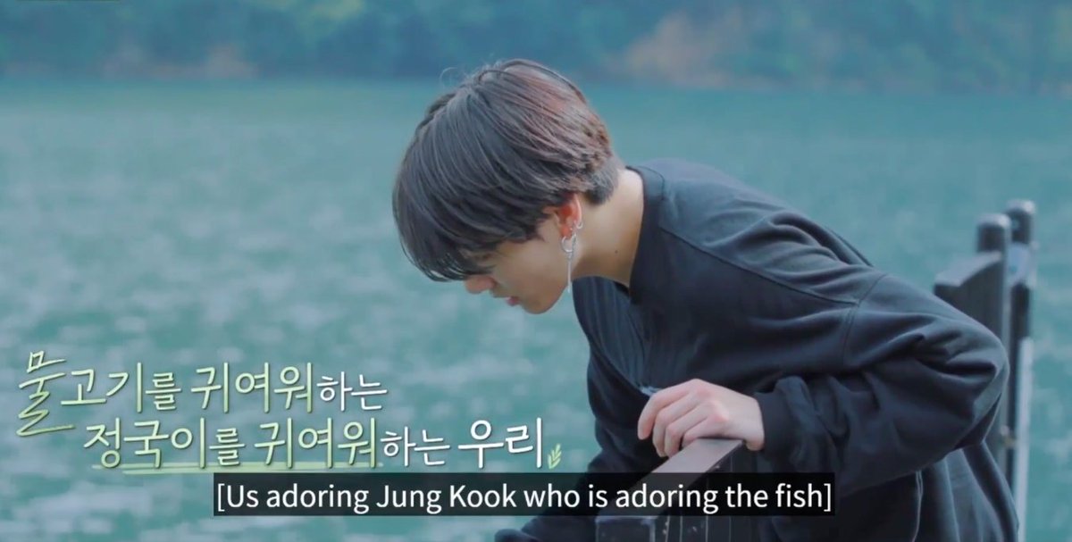 end of thread hehe plot twist: it was fish yoongi jungkook was adoring here 
