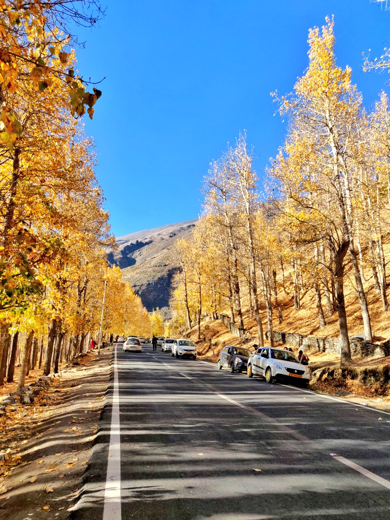 Autumn colors❤️❤️❤️

#Himachal #himachaltourism #sissu #lahaul #manali #dayout #workfrommountains #travel