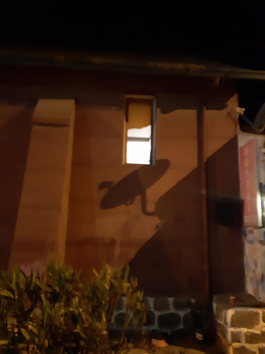 RedNoticiasVR's tweet photo. 📍El Tabo⁣
⁣
La noche del domingo la Parroquia Nuestra Sra. Del Rosario ubicada en el centro de la comuna, fue apedreada por desconocidos. https://t.co/sl1t5oy3EY