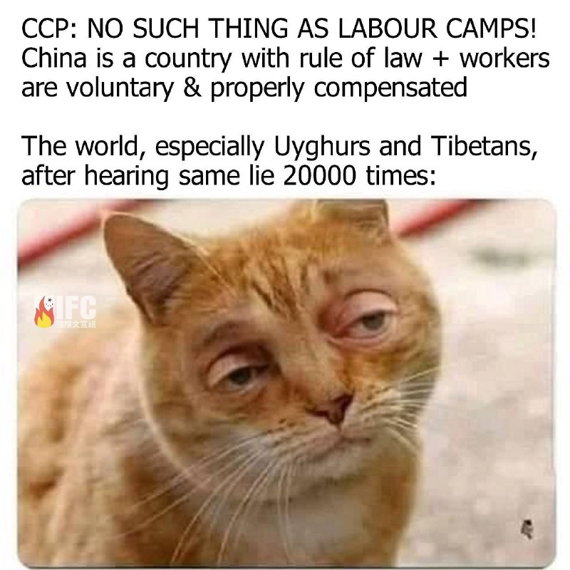 elidaydreamer's tweet photo. @TheEconomist ironically, China got a seat in UN's human rights council, wtf
we all know CCP China has been implementing genocide for years by torturing, destroying languages and culture, sterilize Uighur women

#china #UyghurGenocide #ughyurmuslims #Chinazi https://t.co/Xkwwe6baAj