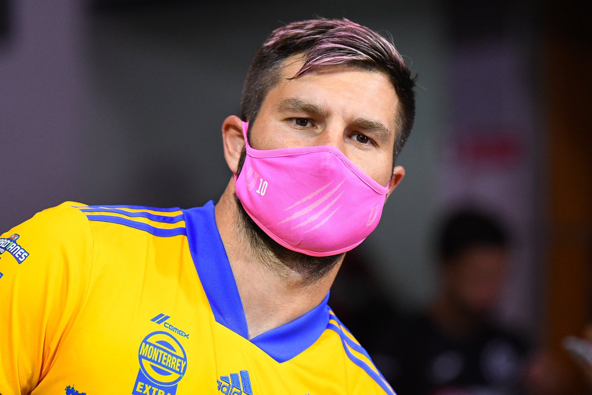 12puntouno's tweet photo. ¿Qué les parecen los cubrebocas rosas de Tigres? 🤩

#OctubreRosa🎀 https://t.co/5Yjv5zIfWp