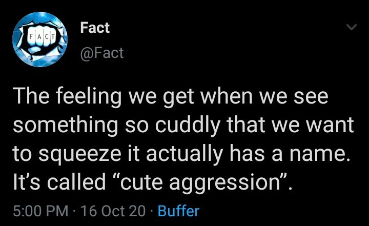 I “cute aggression” you  @TheRajatCode(I’m far away please don’t worry. Just joking!)