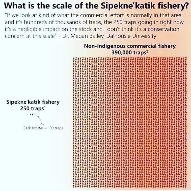 Just watched The National on <a href="/CBCNews/">CBC News</a> a Nova Scotia man was saying this was all about conservation explaining the violence. Here is a graph showing the size of the Mi’kMaq lobster traps compared to theirs. It’s not about conservation! Stand with the Mi’kMaq!