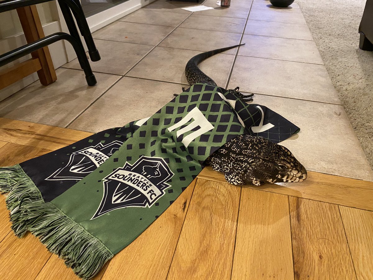 Phantombrain's tweet image. #SoundersMatchday