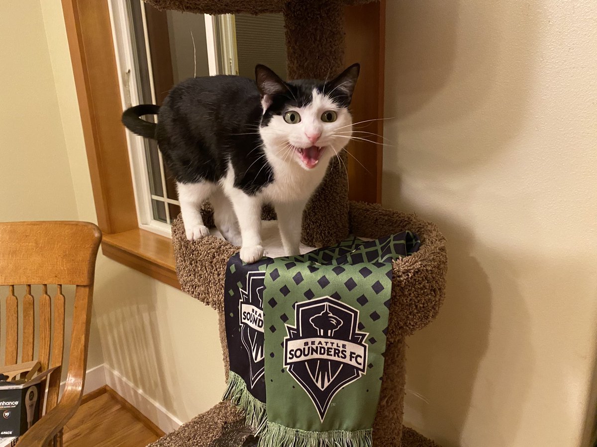 Phantombrain's tweet image. #SoundersMatchday