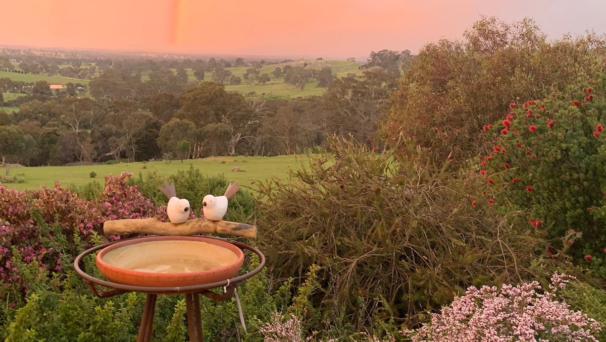 AustraliaRural's tweet photo. Sculpture garden at Mica Grange open during spring weekends #Castlemaine #opengardens https://t.co/tERZBmdnI4 https://t.co/aFVFpf2A3e