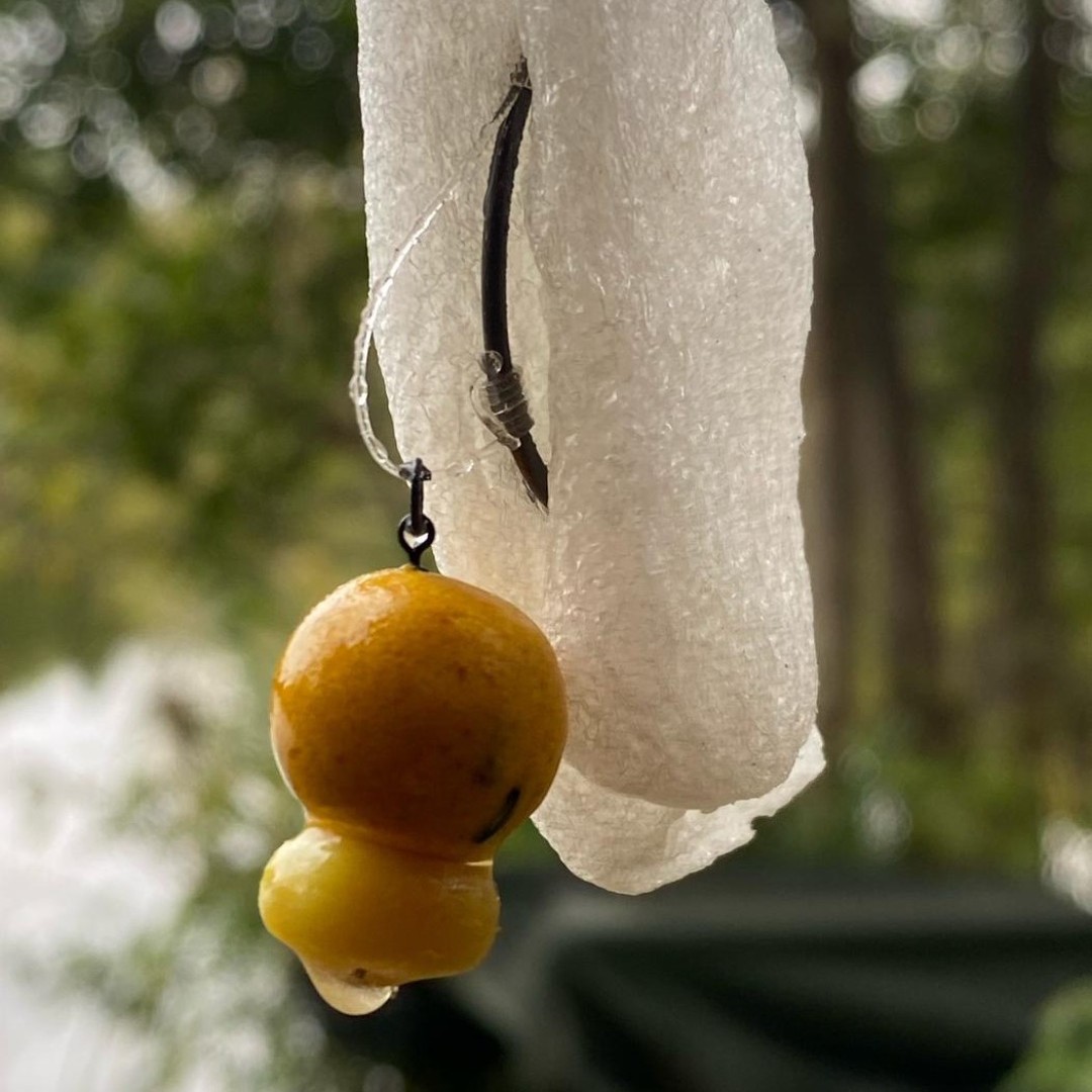 Protected hook point, glugged hook bait... confidence.... 
⬇
incrediblebaits.com/incredible-bai…
☝✋
.
.
#incrediblebaits #carp #carpfishing #fishing #carpy #carplife #karpfen #catchandrelease #fish #angling #carpangler #karpfenangeln #nature #carpangling