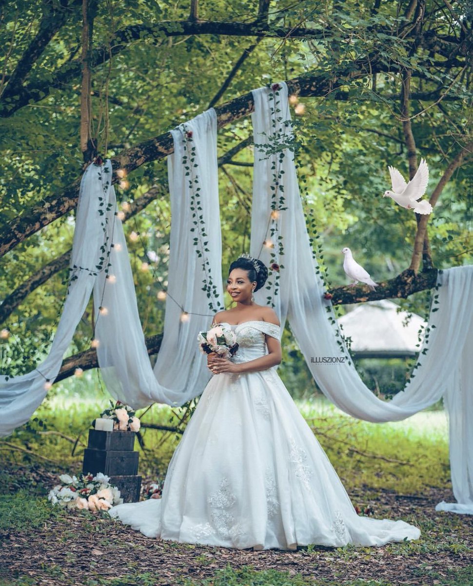 zimwedding's tweet photo. Dreamy! #Fairytale come true🕊♥️ https://t.co/yQkvdz2irF