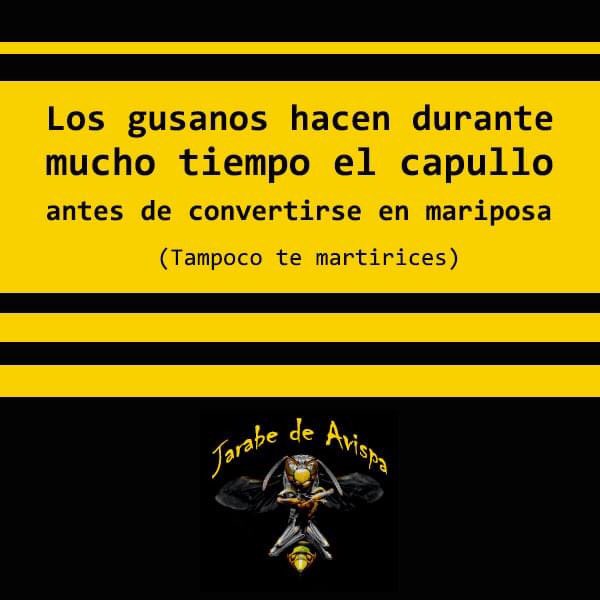 Tampoco te martirices... #FelizLunes